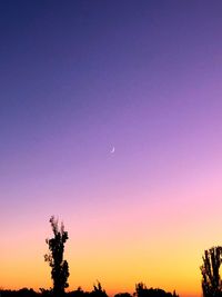 Silhouette trees against clear sky during sunset