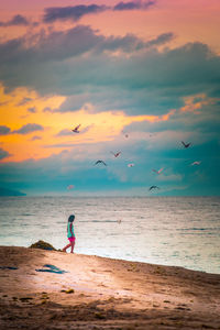 Full length of seagull flying over beach