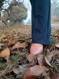 Low section of person standing on field during autumn