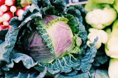 Close-up of vegetables