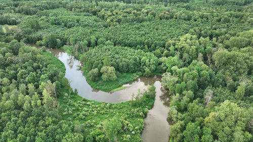 Rear view of woman standing on field