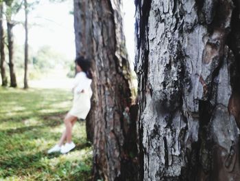 Rear view of man on tree trunk