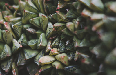 Full frame shot of fruits