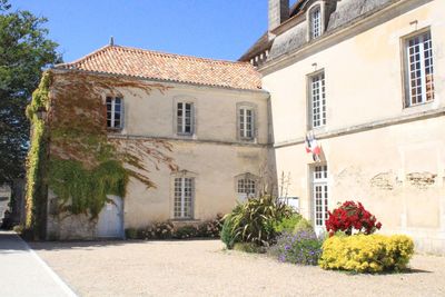 Potted plants by building against sky