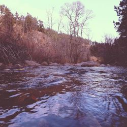 River flowing through rocks