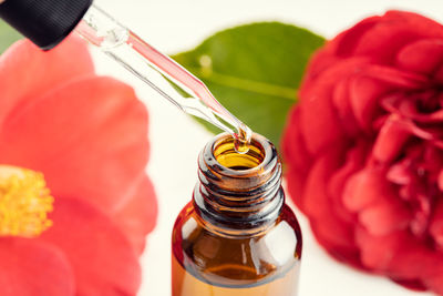 Close-up of red rose in glass bottle