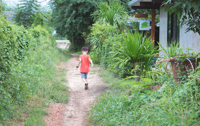 Full length of girl walking on footpath amidst plants