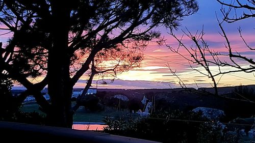 Silhouette trees against sky during sunset