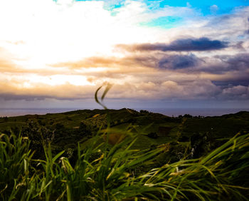 Scenic view of field against sky during sunset