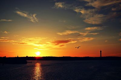 Silhouette birds flying over sea against sky during sunset