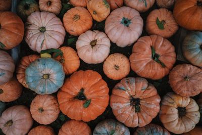 Full frame shot of pumpkins