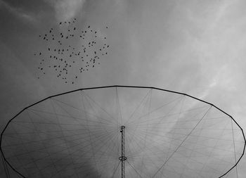 Low angle view of birds flying against sky