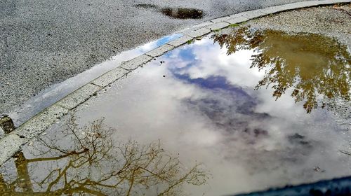 Low angle view of tree against sky