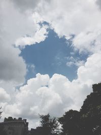 Low angle view of trees against sky