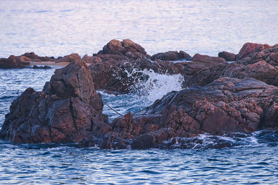 Scenic view of sea