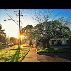 Road at sunset