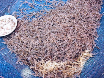 High angle view of dried for sale at market