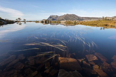 Scenic view of lake