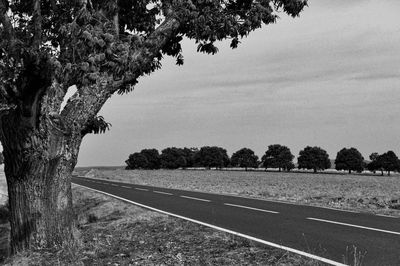 Road by trees against sky