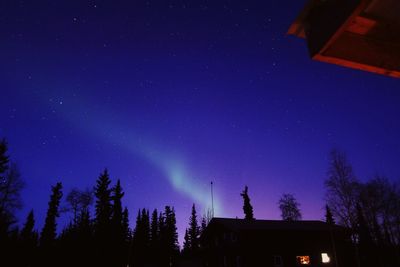 Low angle view of silhouette trees and buildings against sky at night