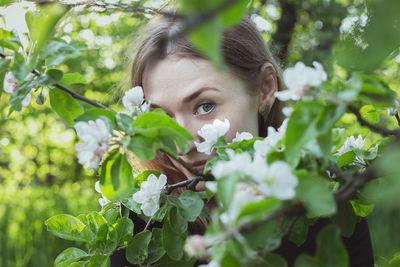 Close up girl peeking over apple blossoms portrait picture