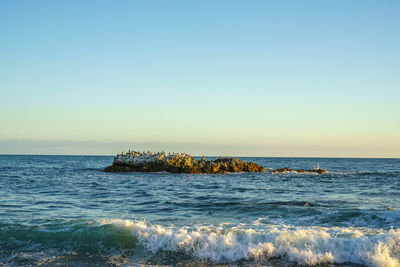 Scenic view of sea against clear sky