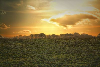 Scenic view of field against sky at sunset