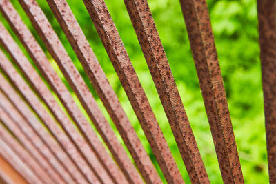 Full frame shot of palm leaf