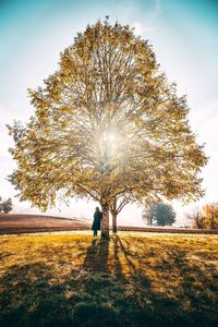 Rear view of woman standing by tree on field