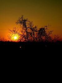 Silhouette plants against sky during sunset