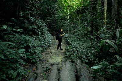 Full length of backpacker standing amidst trees in forest