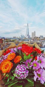 Close-up of pink flowering plants by city against sky