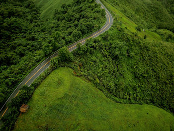 Countryside road passing through the lush green tropical rain forest mountain landscape