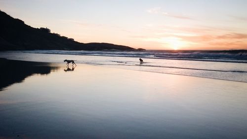 Scenic view of sea at sunset