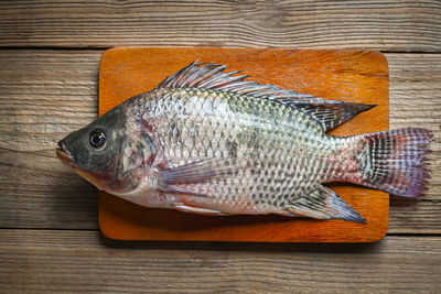 High angle view of fish on table