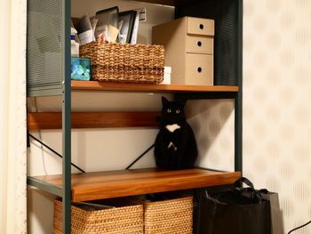 Close-up of cat in basket on table at home