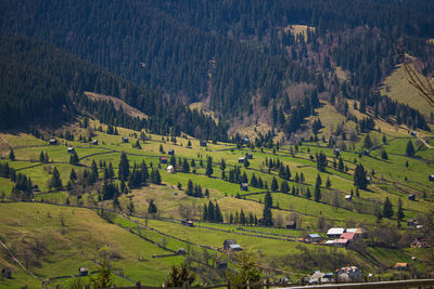 High angle view of buildings in town