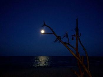 Scenic view of sea against clear sky at night