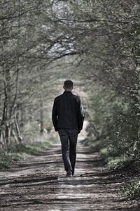 Rear view of man walking on footpath in forest