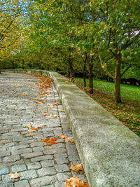 Footpath in park