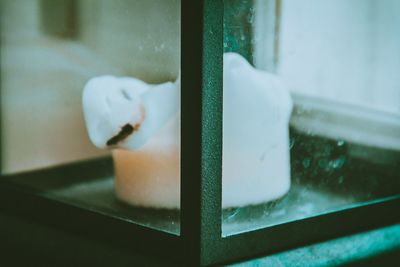 Close-up of cigarette on glass window