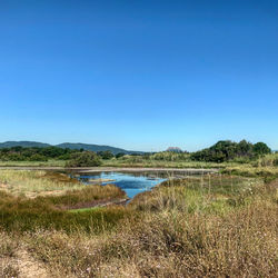 Scenic view of lake against clear blue sky