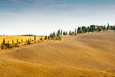 Panoramic view of agricultural field against sky