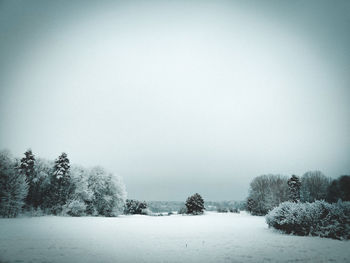 Trees on snow covered landscape