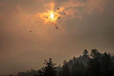 Apocalyptic sky at sunrise with sun shining through wildfire smoke and birds flying in chilliwack