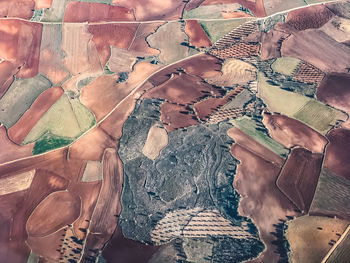 High angle view of multi colored cultivated land