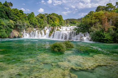 Scenic view of waterfall in forest