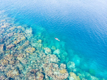 High angle view of people in sea