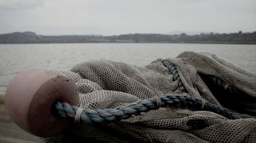 Close-up of rope tied to moored at harbor