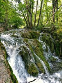 Low angle view of waterfall amidst trees